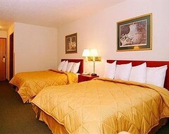 Khách sạn AmericInn Hotel & Suites Pella (Pella, Hoa Kỳ)