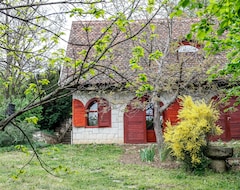 Nhà trọ Myrtus Pince és Vendégház (Tokaj, Hungary)