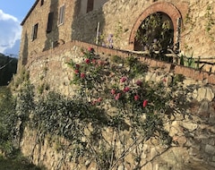 Casa rural Fattoria Il Santo (Monticiano, Ý)