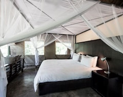 Khu cắm trại Honeyguide Tented Safari Camps (Kruger National Park, Nam Phi)