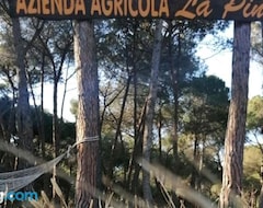 Khu cắm trại Agricampeggio La Pineta (Lesina, Ý)