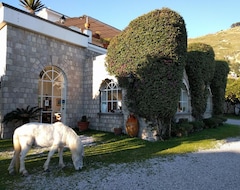 Oda ve Kahvaltı Tenuta Villa Tara (Sant' Angelo d'Ischia, İtalya)