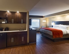 Hotel Holiday Inn Express & Suites San Antonio Medical-Six Flags (San Antonio, Sjedinjene Američke Države)
