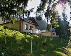 Koko talo/asunto Ski Hartman (Olešnice v Orlických Horách, Tsekin tasavalta)
