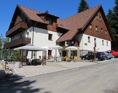 Hotel Penzion Alpsky Dum (Zelezná Ruda, Czech Republic)