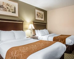 Hotel Comfort Inn And Suites (Sycamore, USA)