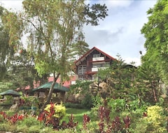 Log Cabin Hotel - Safari Lodge Baguio (Baguio, Filippinerne)