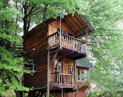 Hotel Sycamore Avenue Treehouses (Mooi River, South Africa)
