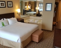 Hotel Holiday Inn San Clemente (San Clemente, EE. UU.)