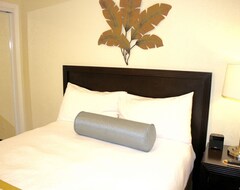 Hotel Experience All Of What Tampa Has To Offer! Full Kitchen, Volleyball, Pool (Tampa, USA)