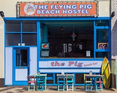 Otel Flying Pig Beach Hostel (Noordwijk, Hollanda)
