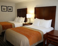 Hotel Comfort Inn Near Old Town Pasadena In Eagle Rock (Los Angeles, USA)