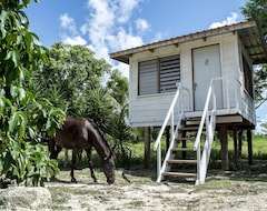 Toàn bộ căn nhà/căn hộ Tree Top Cabana In A Tropical Farm W/ Shared Bathroom (Sarteneja, Belize)