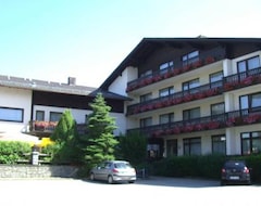 Khách sạn Hotel am See (Roding, Đức)