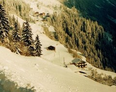 Otel Bergland (Mayrhofen, Avusturya)