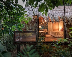 Hotel Anavilhanas Jungle Lodge (Manaus, Brazil)
