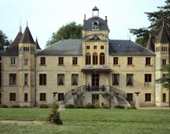 Hotel Château du Four de Vaux (Varennes-Vauzelles, Francia)