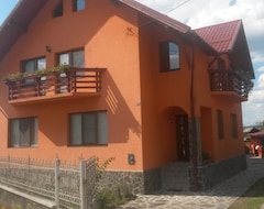 Nhà trọ Adi Săpânţa (Săpânţa, Romania)