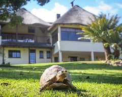 Winelands Villa Guesthouse and Cottages (Somerset West, South Africa)