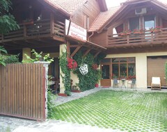 Guesthouse Pasager house (Sovata, Romania)