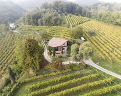 Toàn bộ căn nhà/căn hộ A House In The Vineyard (Cornuda, Ý)