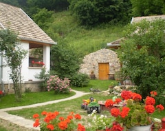 Hele huset/lejligheden Tulipanos Vendeghaz (Mecseknádasd, Ungarn)