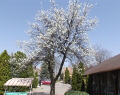 Oda ve Kahvaltı Familia Panzio (Makó, Macaristan)