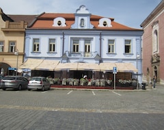Otel Zlata Vcela (DomaZlice, Çek Cumhuriyeti)