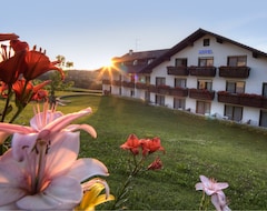Urlaubshotel Binder (Büchlberg, Almanya)