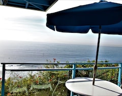 Hotel Laguna Surf Lodge (Laguna Beach, USA)