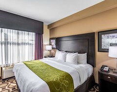 Hotel Comfort Suites Lexington (Lexington, USA)
