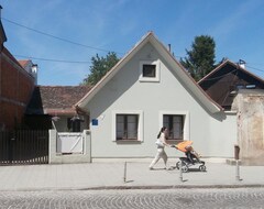 Toàn bộ căn nhà/căn hộ Studio Flat With Air-Conditioning Samobor, Prigorje (As-12869-A) (Samobor, Croatia)