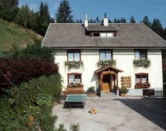Casa/apartamento entero Haus Tonelehof (Dellach im Drautal, Austria)