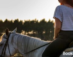 Casa rural White Pony Agroturystyka I Stajnia (Scinawa, Puola)