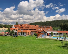 Khách sạn Sporthotel Zaton (Větřní, Cộng hòa Séc)