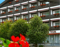 Hotel Pflug (Ottenhöfen, Almanya)