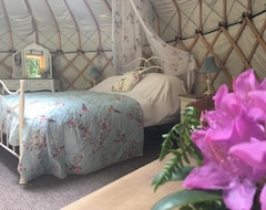 Hotel Gingerbread Cottage Yurts (East Dereham, Ujedinjeno Kraljevstvo)