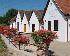 Hotel Blum Pince (Villány, Hungary)