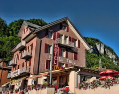 Hotel Tell Seelisberg (Seelisberg, İsviçre)