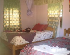 Bed & Breakfast Palmento Grove Garifuna Eco-Cultural & Healing Institute (Hopkins, Belize)