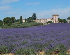 Tüm Ev/Apart Daire Gite De Charme En Provence Entre Ventoux Et Luberon Maison Independante (Saint-Saturnin-les-Apt, Fransa)
