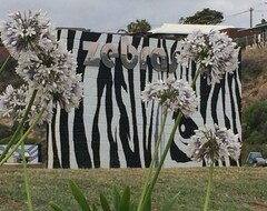 Nhà trọ Zebras (Geraldton, Úc)