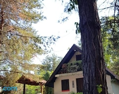 Toàn bộ căn nhà/căn hộ Ladybird Lodge (Bela Crkva, Séc-bia)