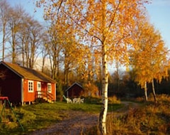 Toàn bộ căn nhà/căn hộ Hornborgasjöns Stugby (Axvall, Thụy Điển)
