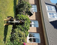 Koko talo/asunto Urlaub Mit Hund In Nordfriesland (Klanxbüll, Saksa)