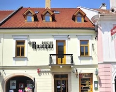 Guesthouse Penzión Rosenau (Rožňava, Slovakia)