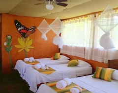 Hotel Avatar Amazon Camp (Iquitos, Peru)