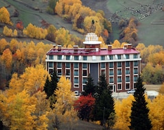 Khách sạn Black Forest Hotel (Artvin, Thổ Nhĩ Kỳ)