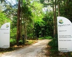 Entire House / Apartment Crystal Creek Rainforest Retreat (Murwillumbah, Australia)