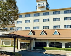 Ryokan Kamenoi Hotel Kitsuregawa (Sakura, Japón)